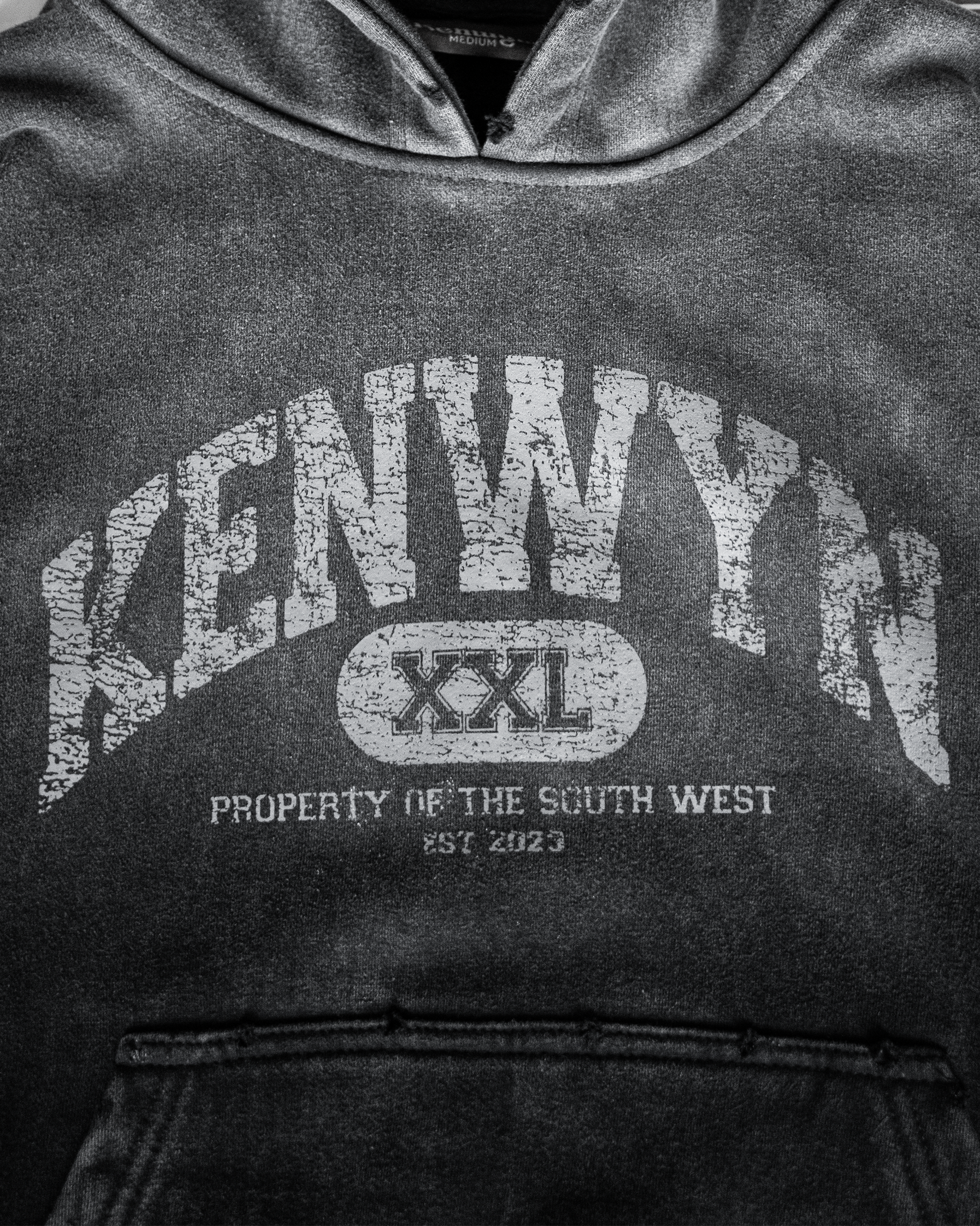 COLLEGIATE PREMIUM WASHED HOODIE