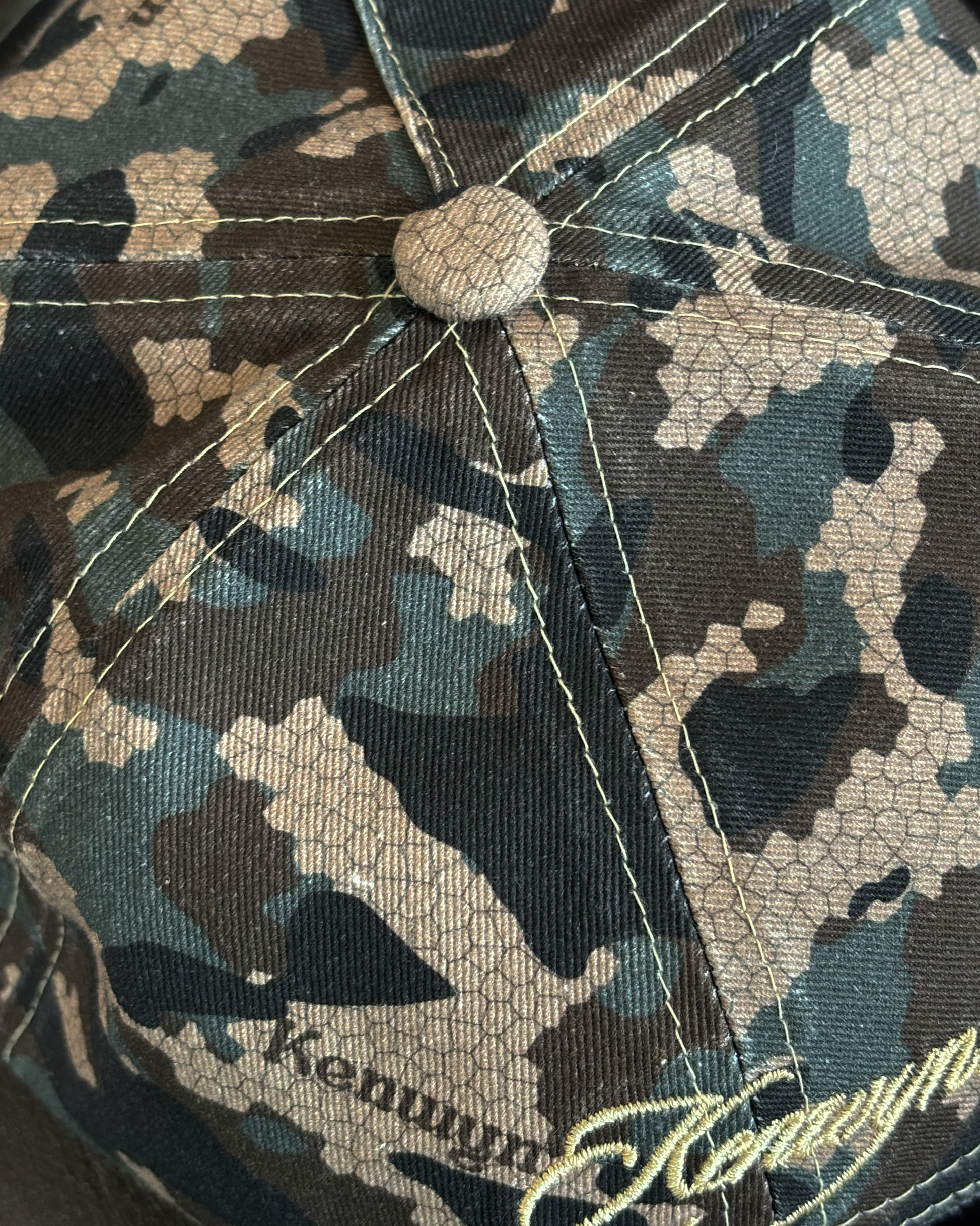 TWO YEAR 5 PANEL CAP