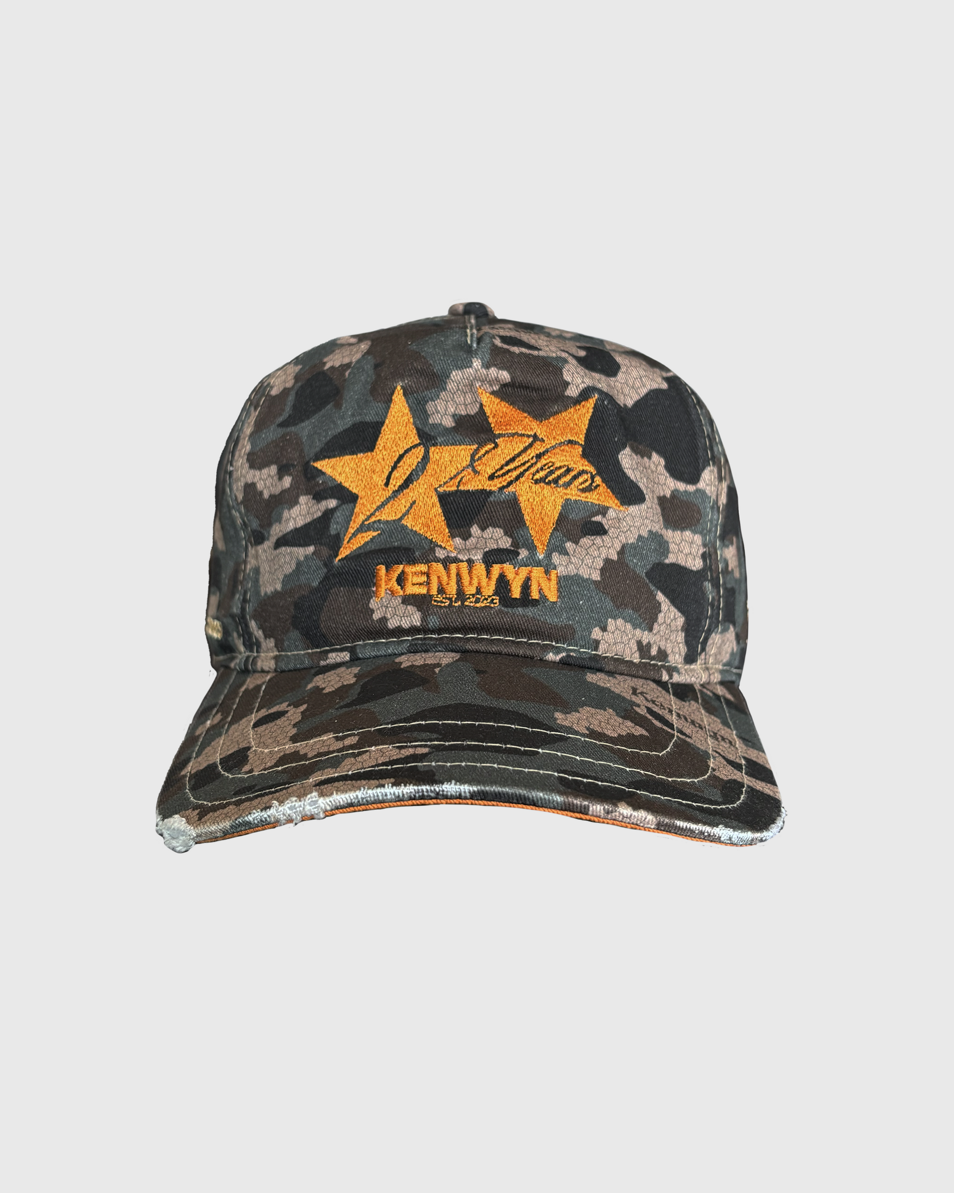 TWO YEAR 5 PANEL CAP