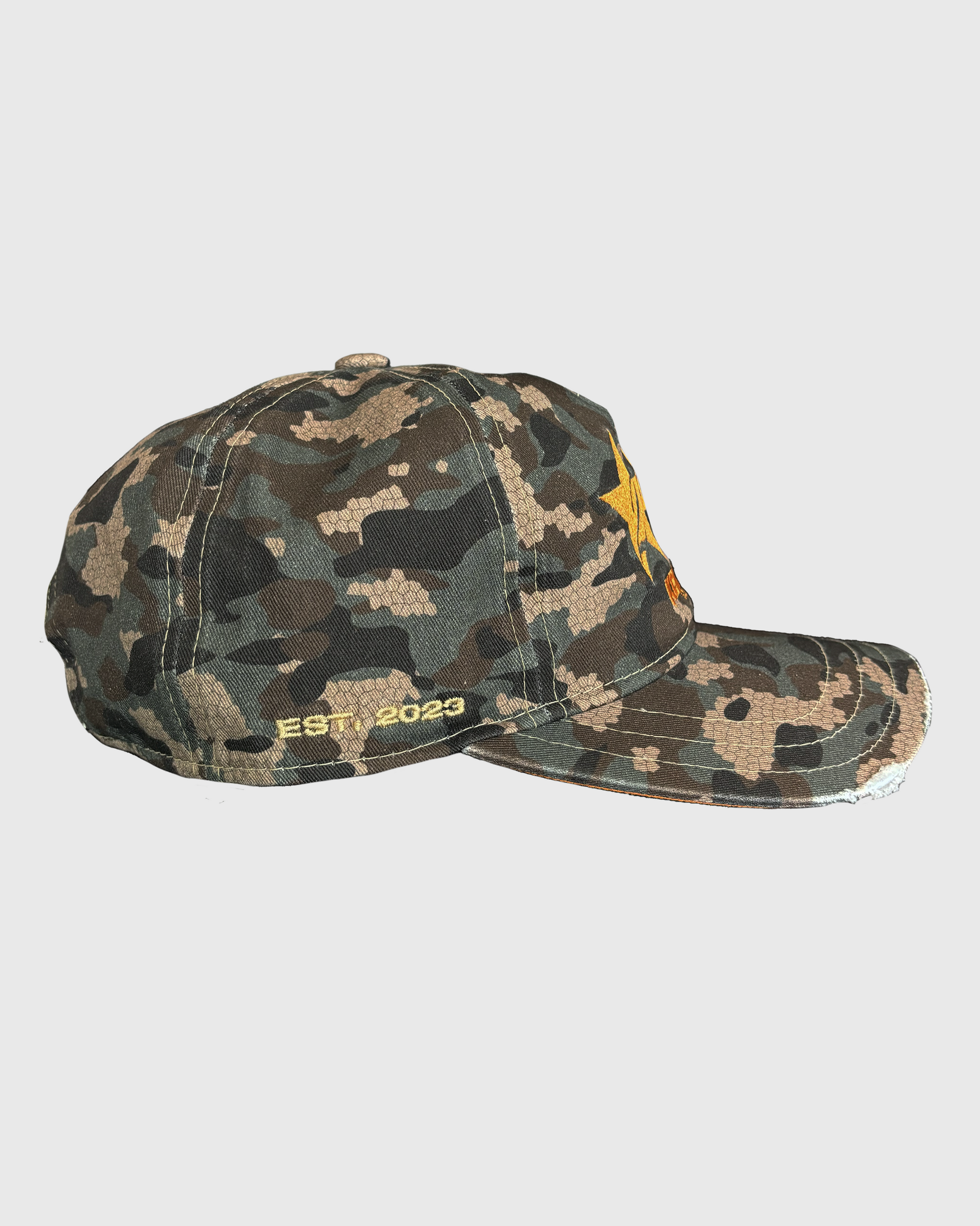 TWO YEAR 5 PANEL CAP
